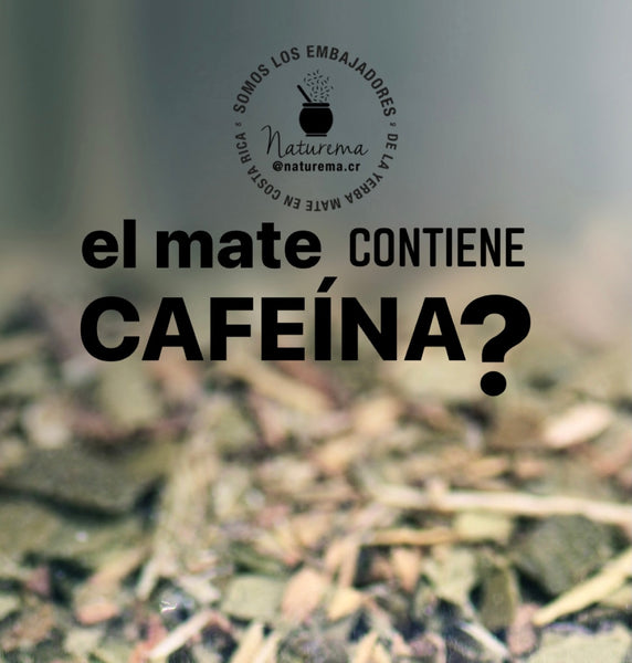 El mate contiene cafeína ?       Does mate contain caffeine?