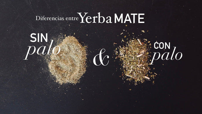 DIFERENCIAS ENTRE YERBA MATE CON PALO Y SIN PALO.      DIFFERENCES BETWEEN YERBA MATE WITH STICK AND WITHOUT STICK