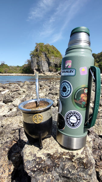 ¿Cuáles son las diferencias entre el mate y el tereré?