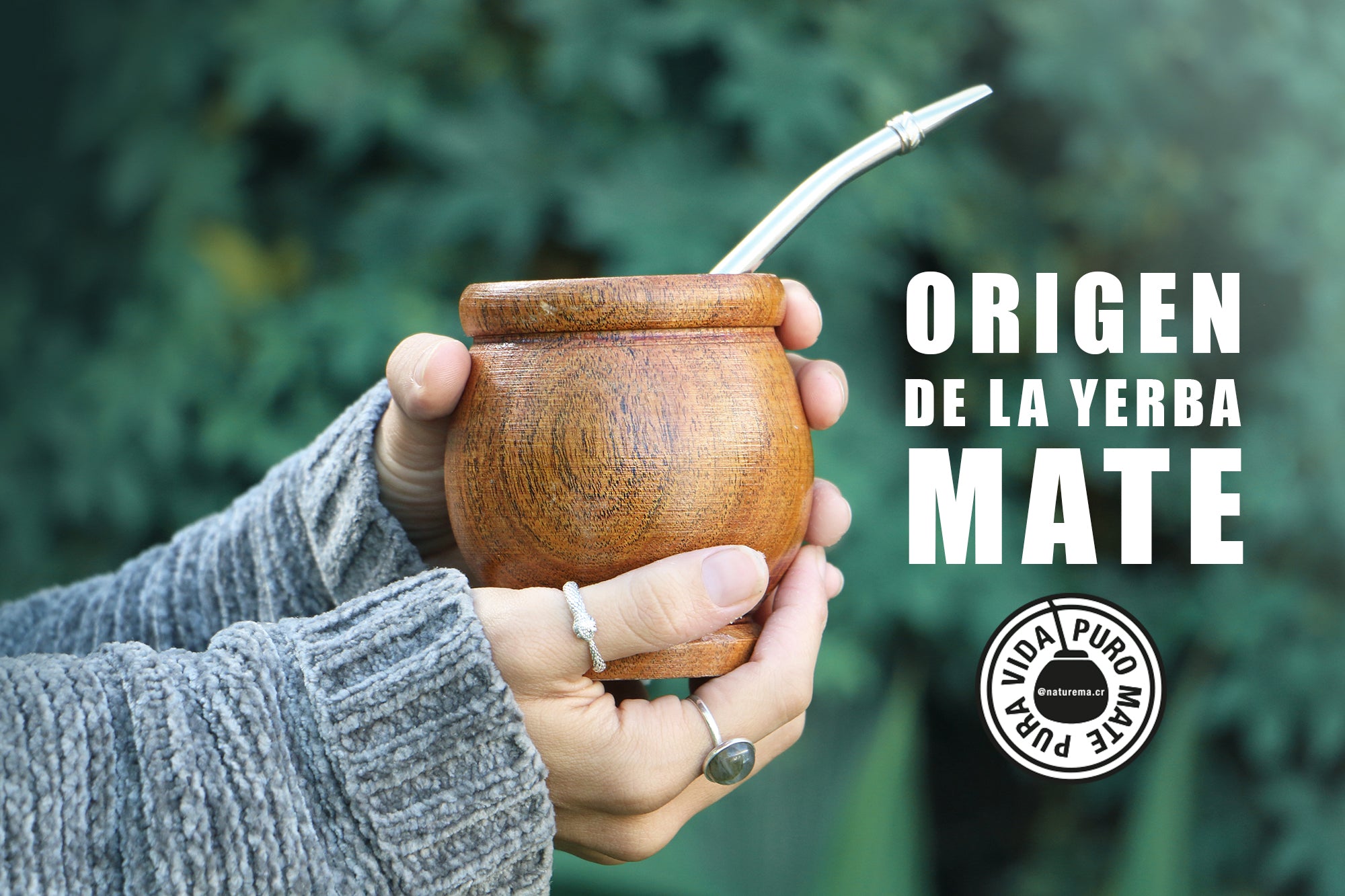 ORIGEN DE LA YERBA MATE. ORIGIN OF YERBA MATE – Naturemacr