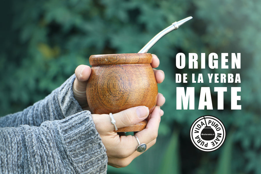 ORIGEN DE LA YERBA MATE.       ORIGIN OF YERBA MATE